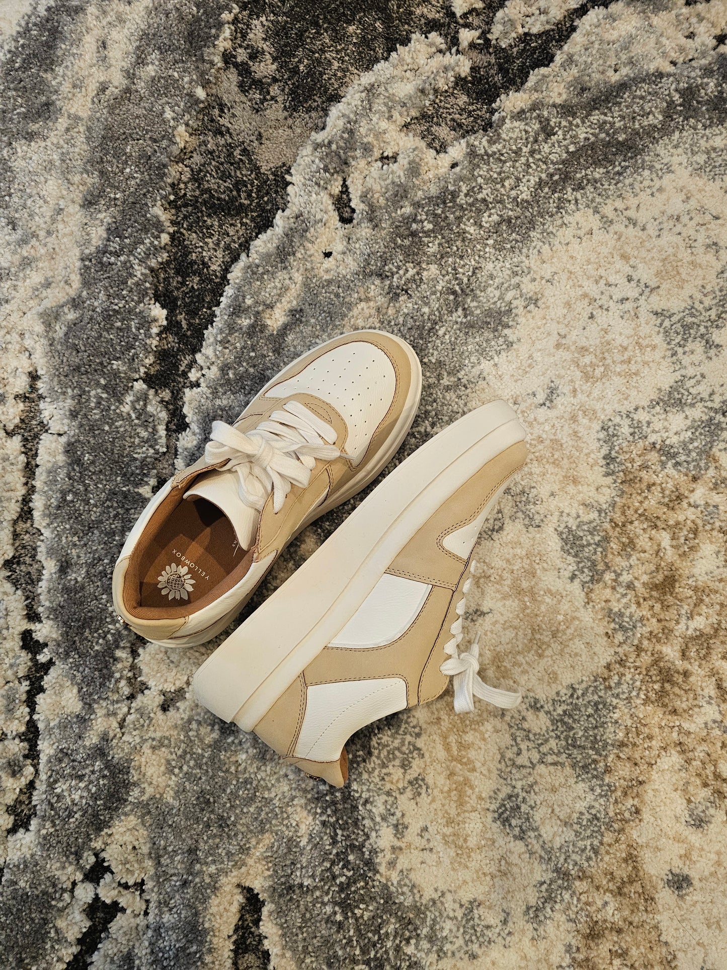 Thick Bottom Lace Up Sneakers